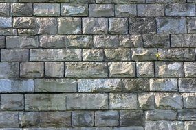 wall masonry