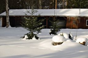 lonely house in winter in British Columbia, Canada