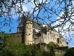 castle behind thin branches of a tree