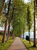 landscape of santiago of compostela trail in park in galicia