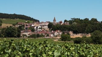 french village with grape field