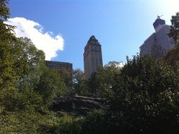 central park in new york on a sunny day