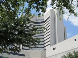 modern white hospital in Dallas, USA