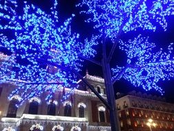 Night view of the wintry city