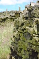textured stone wall