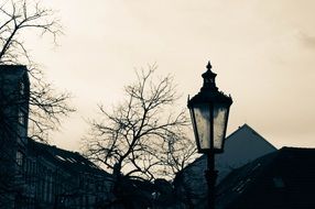 street lamp and buildings at colorful dusk in the sky