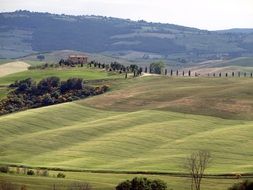 green hill in tuscany