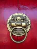 lion head with ring, doorknocker at wooden door
