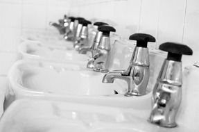 row of sinks with mixers