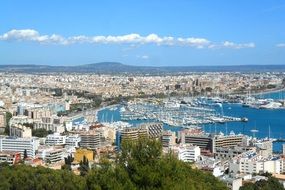 palma city majorca spain