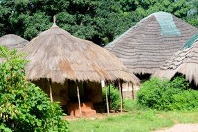 thatched huts in a village in Guinea