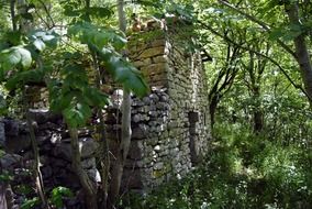 ruins in green thickets in Asturias, Spain