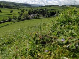 england nature summer green landscape