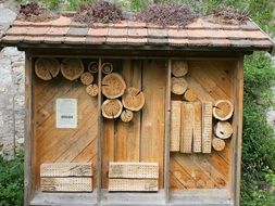 bee hotel