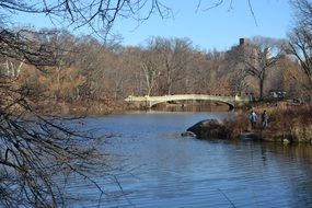 central park with lake and bridge