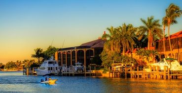 island with palm trees in sunny Florida