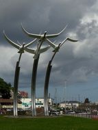 monument birds northern ireland