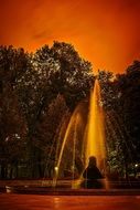 night park with a beautiful fountain