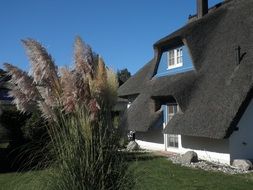 A house with a thatched roof on the island of Usedom