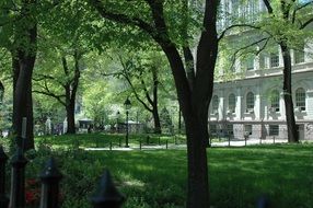 town hall behind the trees of the park