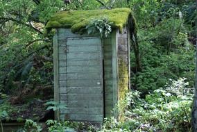 outhouse old toilet in a forest