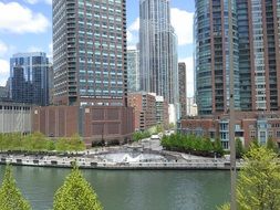 river in the downtown of Chicago, United States