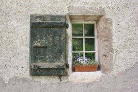 window with flowers in the stone wall