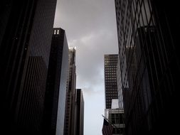 tall skyscrapers in Manhattan