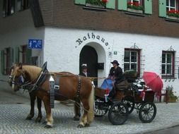 Ross horse carriage
