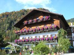 facade of the house with pink flowers in pots