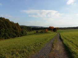 rural field in early autumn