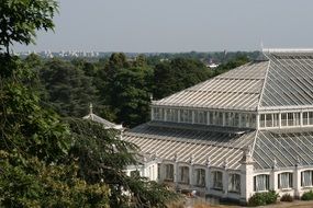 picture of the greenhouse in London