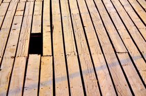 strikingly beautiful boardwalk
