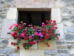red flowers on the window of a stone building