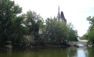 green trees and river in budapest