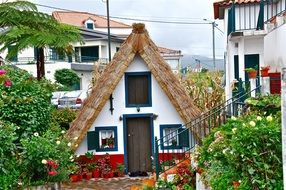 extraordinarily beautiful old rustic house