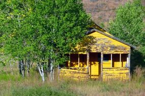 yellow barn among green trees