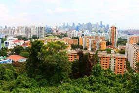 orange buildings among green trees in singapore