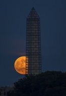 supermoon at perigee on the background of the Washington Monument, district of Columbia