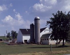 farm building among the trees on a sunny day