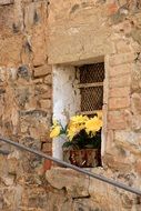 flowers on the window of an old building