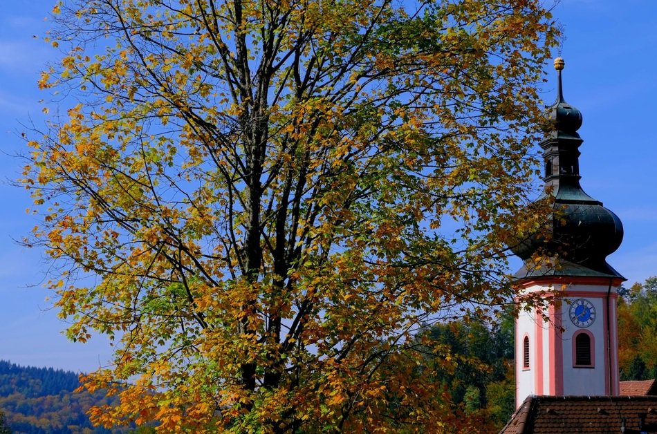 church near the building with yellow leaves
