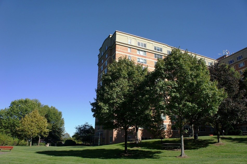 apartments in park at summer