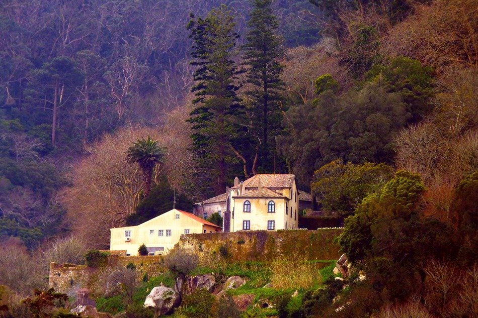 Old houses in a spring forest