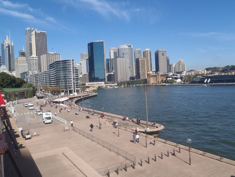 habor view of sydneys beautiful skyline