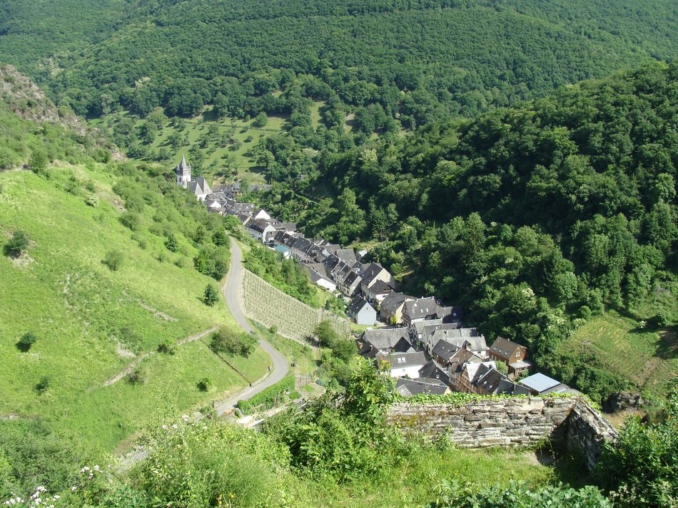 steeg bacharach rhine