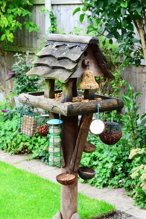 bird table feeding