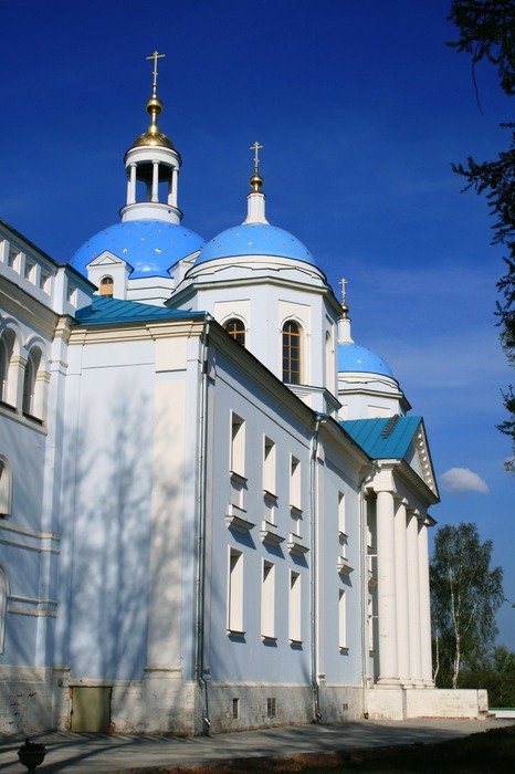 cathedral tall church with blue domes