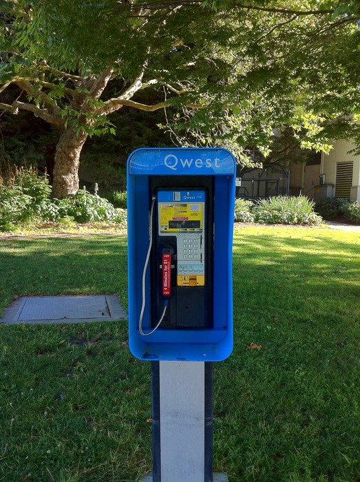 telephone booth stands in the park for communication