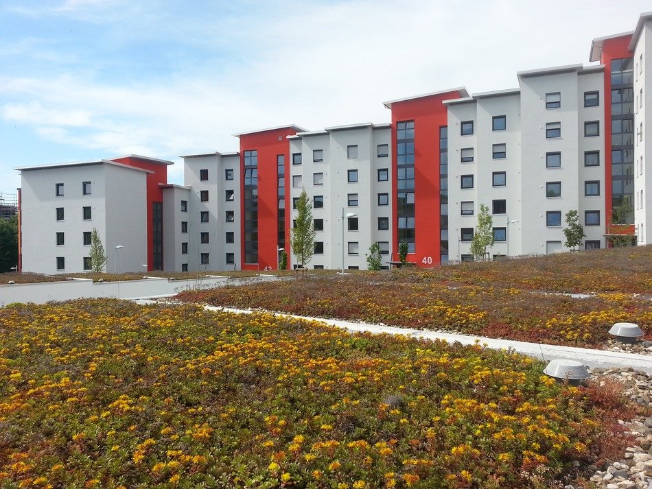 white and red new buildings